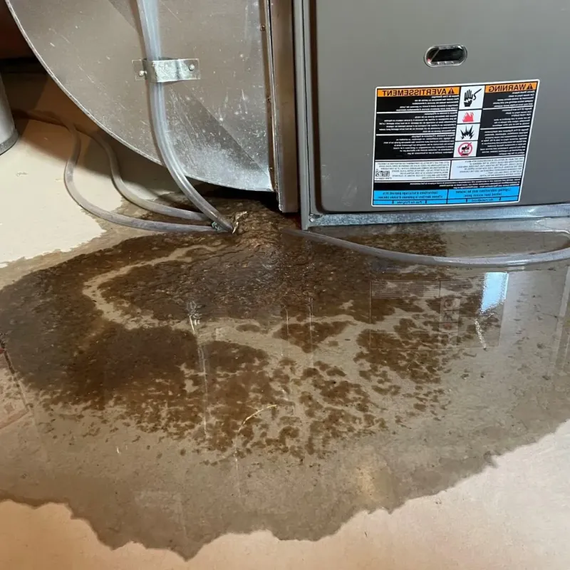 Pipe Burst and Leak Restoration in McSherrystown, PA