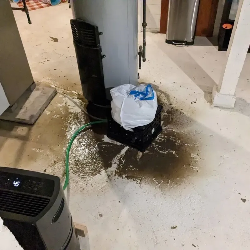 Sewage Backup Cleanup Service in McSherrystown, PA
